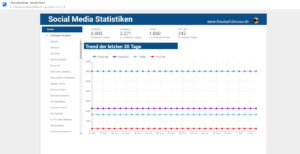 Follower Entwicklung der letzten 30 Tage