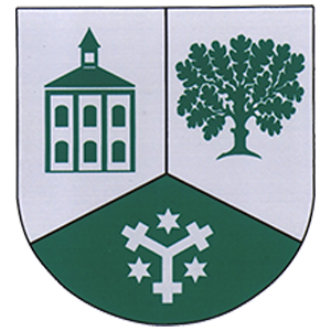 Logo Oelsa