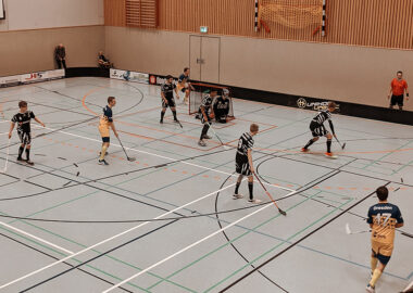2. FBL